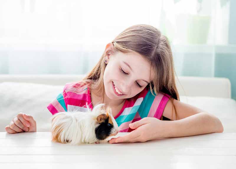 Girl with guinea pig