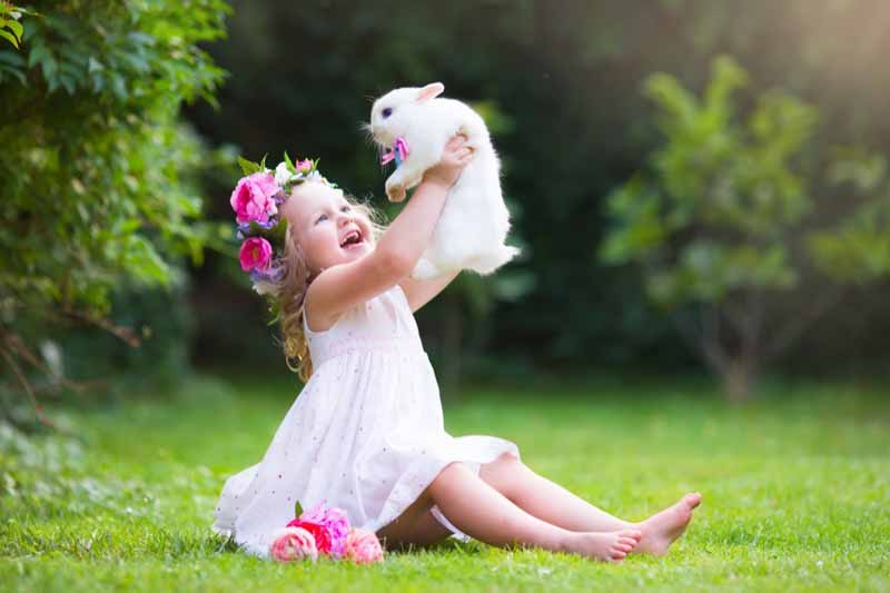 Girl playing with bunny