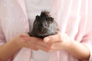 Woman holding small guinea pig